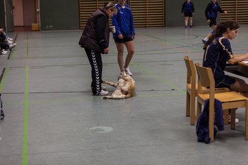 Bild 204 - D-SH-Liga am 11.11.12